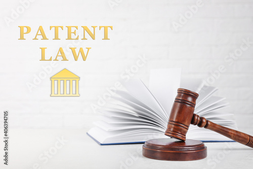 Gavel and book on table against white background, space for text. Patent Law