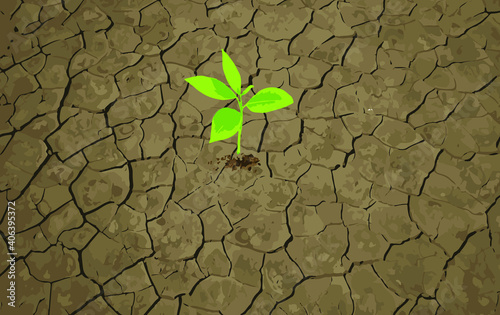 Seedling Growing Trough Dry Soil Cracks vector