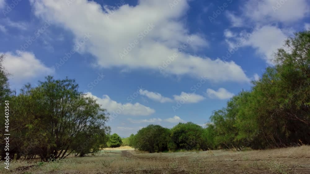 timelapse landscape of Sicily nature moving white clouds on a clearing between the broom trees in Etna Park timelapse landscape of Sicily nature moving white clouds on a clearing between the broom trees in Etna Park