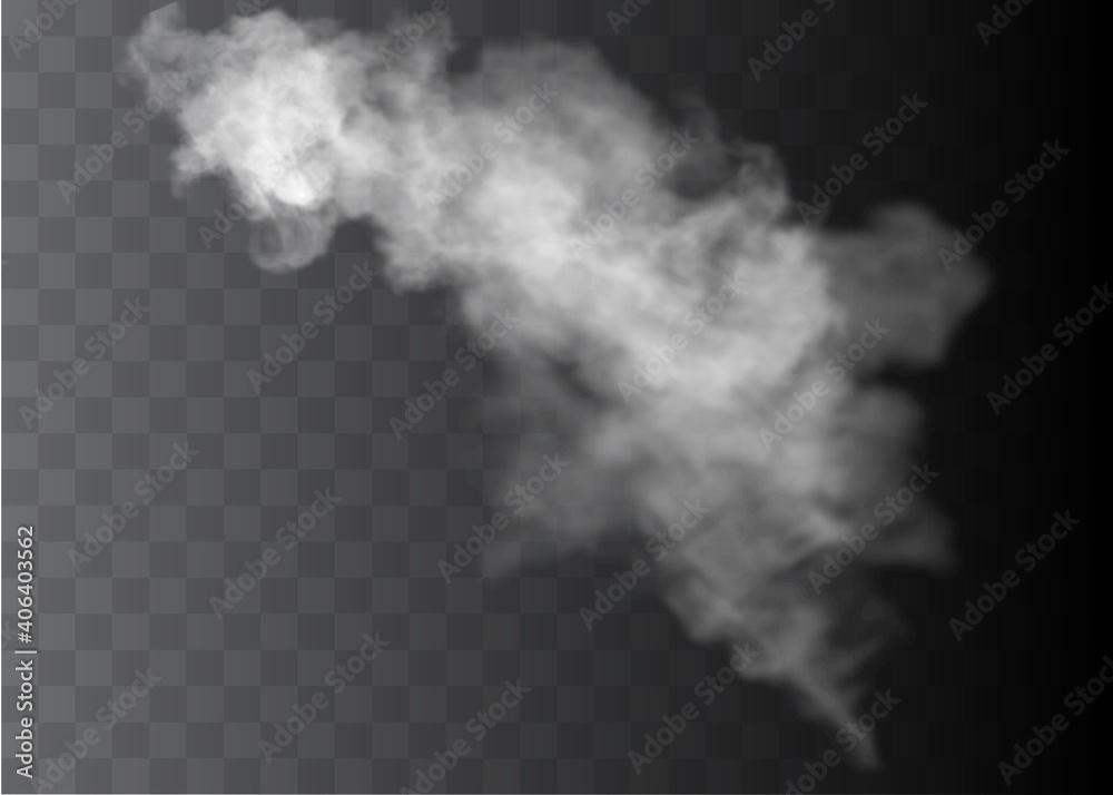 Transparent special effect stands out with fog or smoke. White cloud vector Transparent special effect stands out with fog or smoke. White cloud vector