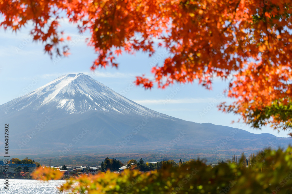 Fototapeta premium beautiful view of Fuji san mountain with colorful red maple leaves and winter morning fog in autumn season at lake Kawaguchiko, best places in Japan, travel and landscape nature concept