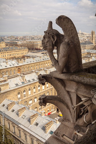 View of Paris with chimere, from an observation point in Notre Dame