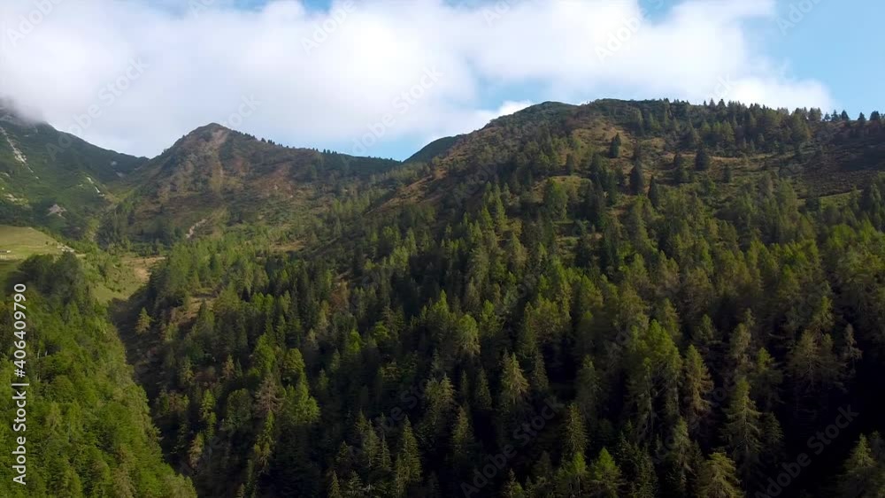 Panning shot of mountain panorama full of high fir trees and clouds on the summit during sunny day outdoors in nature. Panning shot of mountain panorama full of high fir trees and clouds on the summit during sunny day outdoors in nature.