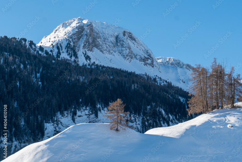 Winterlandschaft mit Lärchen in den Schweizer Alpen