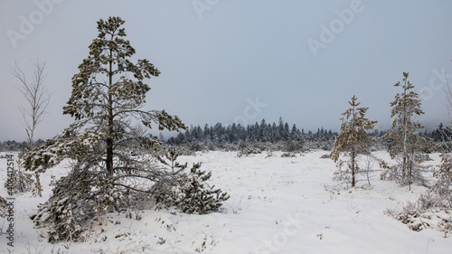 Wallpaper Mural Winterlandschaft  Torontodigital.ca
