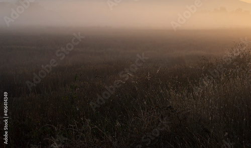 morning mist over the field