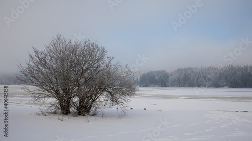 Wallpaper Mural Kirchsee im Winter gefroren Torontodigital.ca