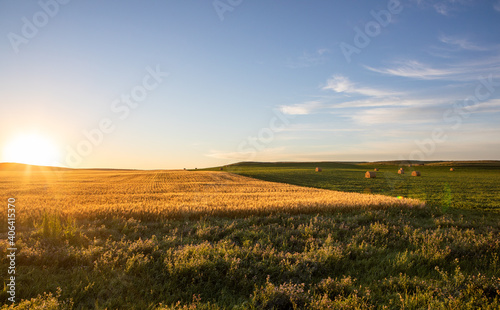 Valokuva Soybeans growing in North Dakota field with hay and wheat
