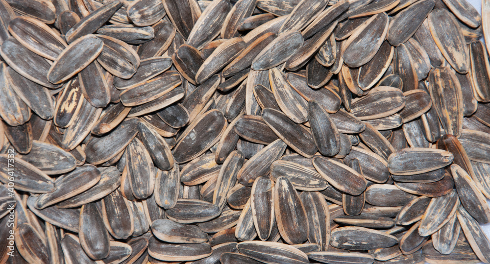 background of sunflower seeds photographed in close-up background of sunflower seeds photographed in close-up