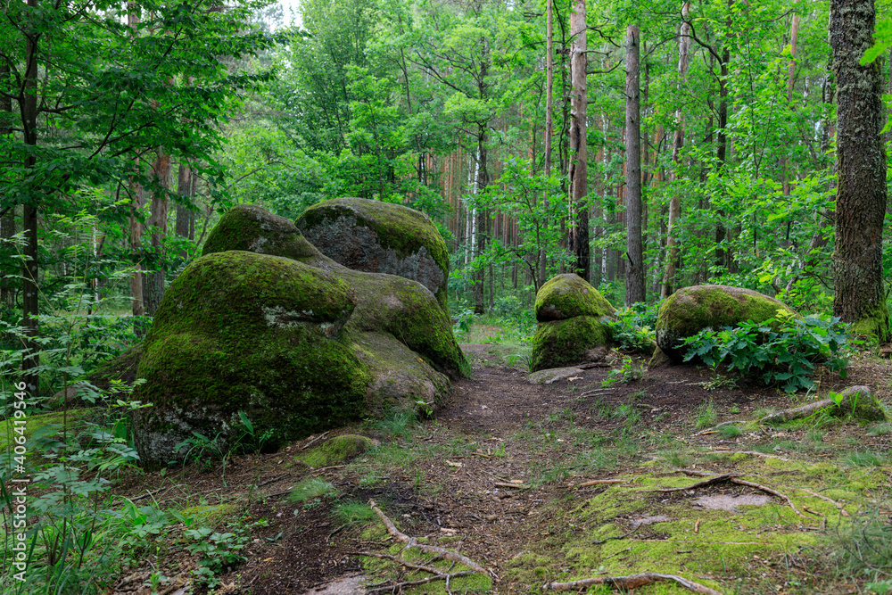 big stones boulders in the forest
