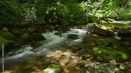 Spivey Creek in Eastern Tennessee photo