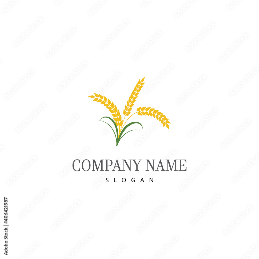 Agriculture wheat vector Agriculture wheat vector