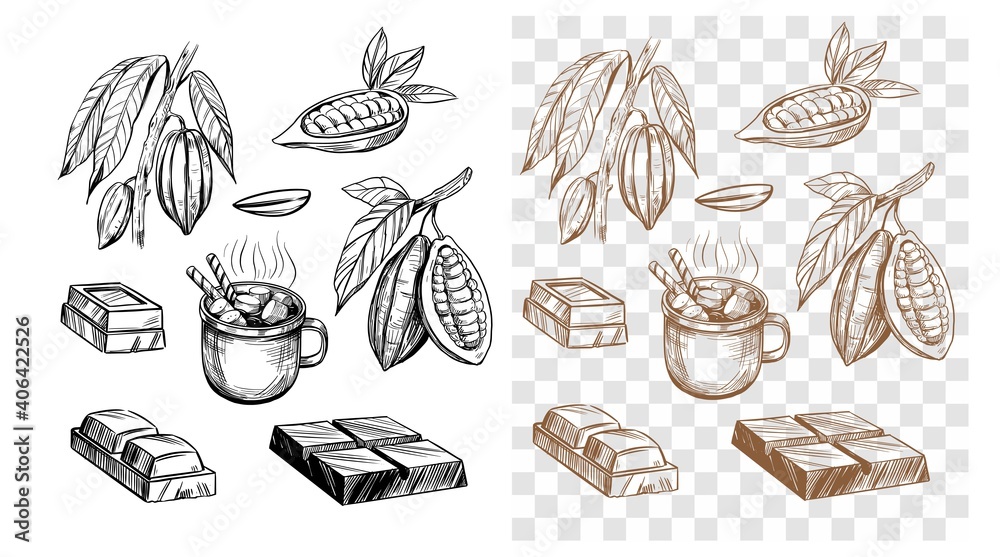 Chocolate bar, cocoa bean, hot chocolate. Set of outline illustrations. Vector on transparent background Chocolate bar, cocoa bean, hot chocolate. Set of outline illustrations. Vector on transparent background