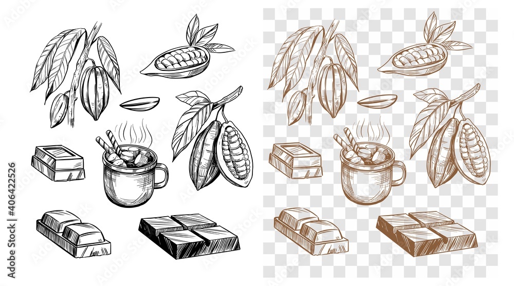 Chocolate bar, cocoa bean, hot chocolate. Set of outline illustrations. Vector on transparent background