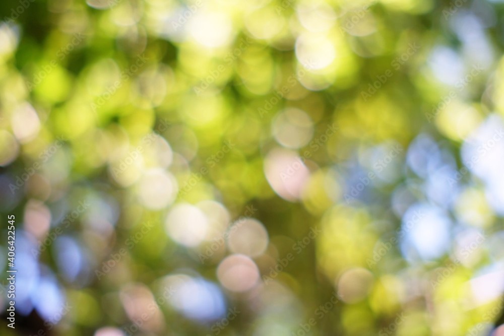 Blurred Nature Colorful Bokeh Background. Blurred Nature Colorful Bokeh Background.