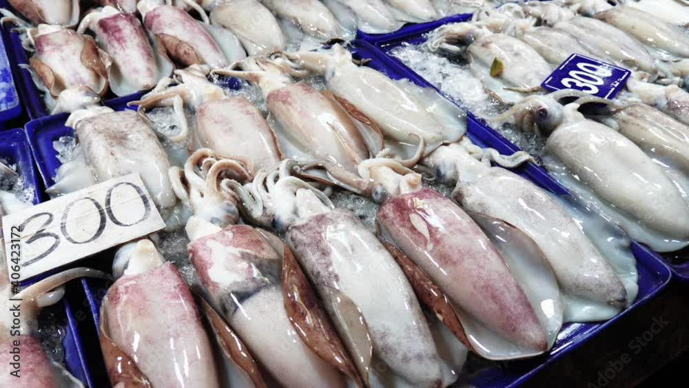 Still shot fresh squid on shelves displayed at food market - Thailand Still shot fresh squid on shelves displayed at food market - Thailand