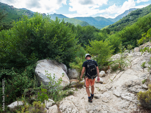 back of man hiker on hiking trail to Gola Su Gorropu gorge and green forest landscape of Supramonte Mountains with limestone rock and mediterranean vegetation, Nuoro, Sardinia, Italy. Summer