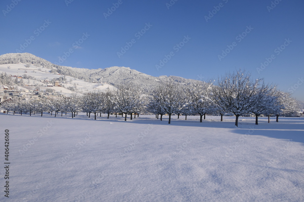Snowy winter landscape with hills at the edge of a village