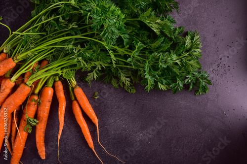 Fresh carrots with green tops on a dark gray table.