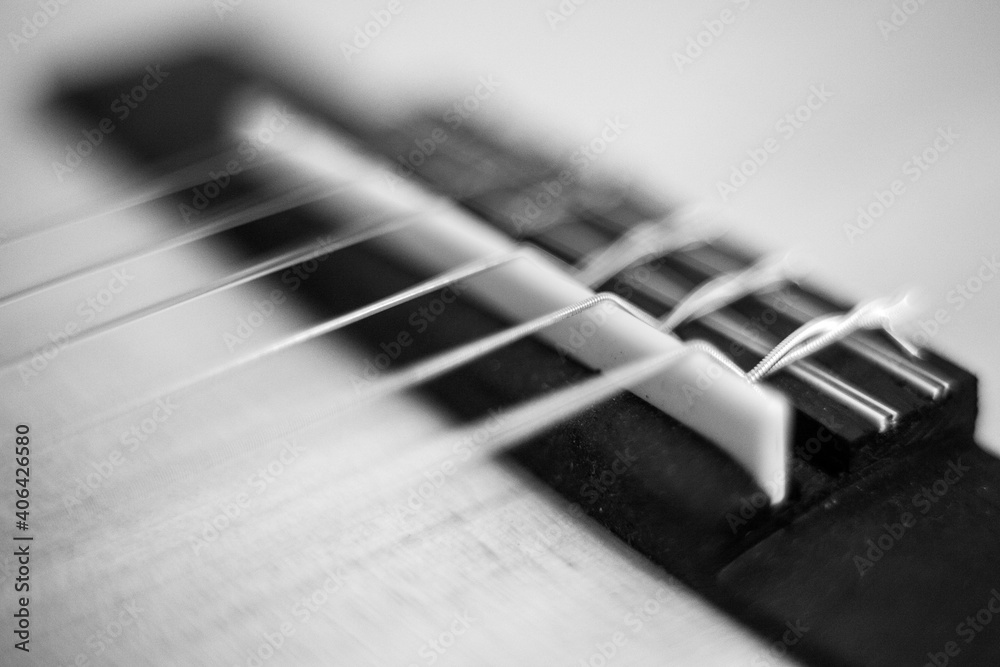 Fototapeta premium black and white close up detail of accoustic guitar strings