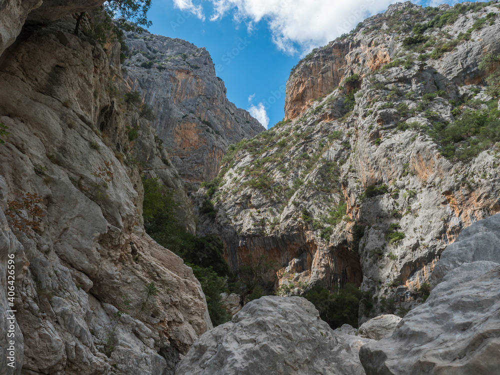 view of Gola Su Gorropu gorge with limestone rock walls, green bush and trees. Famous tourist hiking destination at Supramonte Mountains, Nuoro, Sardinia, Italy. Summer