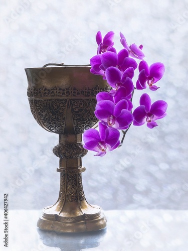 Still life with orchid flowers on a window background