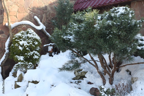 Courtyard of a country house in winter