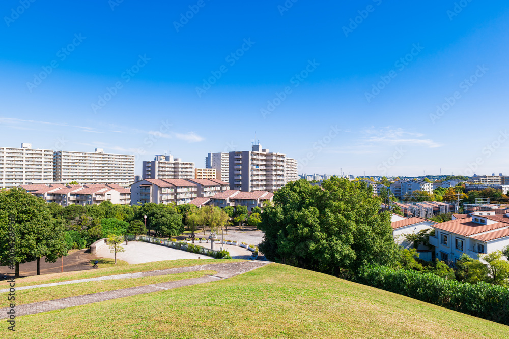 青空が広がる郊外の住宅地