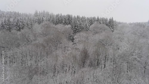Wallpaper Mural Aerial backwards shot of snowfall and snowstorm in the High Fens upland area region in Belgium and Germany. Snow-covered high fir trees in nature. Beautiful winter landscape. Torontodigital.ca