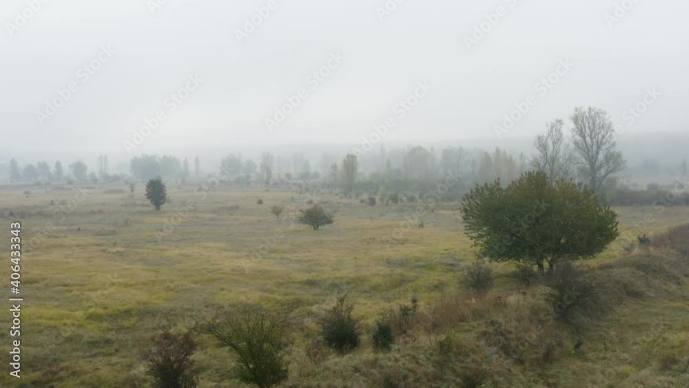 Grassy highland with bushes and trees in autumn,foggy, Czechia. Grassy highland with bushes and trees in autumn,foggy, Czechia.
