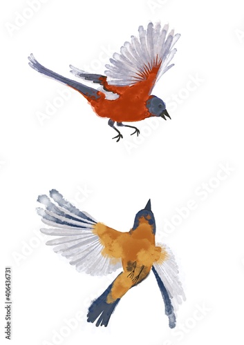 Two beautiful colorful birds are flying. Watercolor illustration .