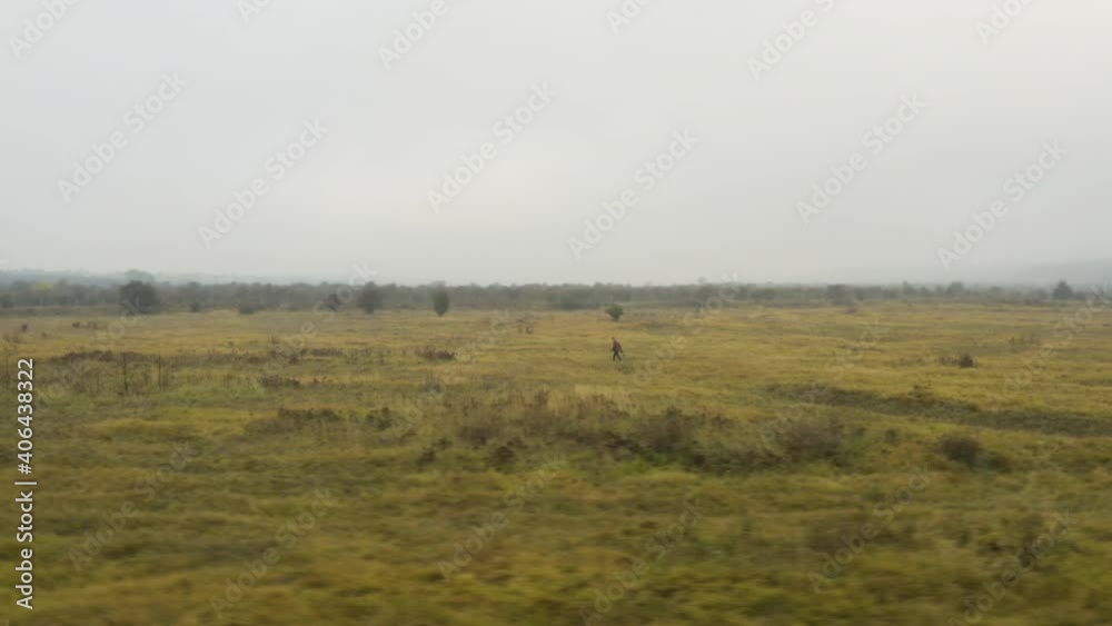 Documentarist walking in a vast foggy moorland in autumn,Czechia. Documentarist walking in a vast foggy moorland in autumn,Czechia.