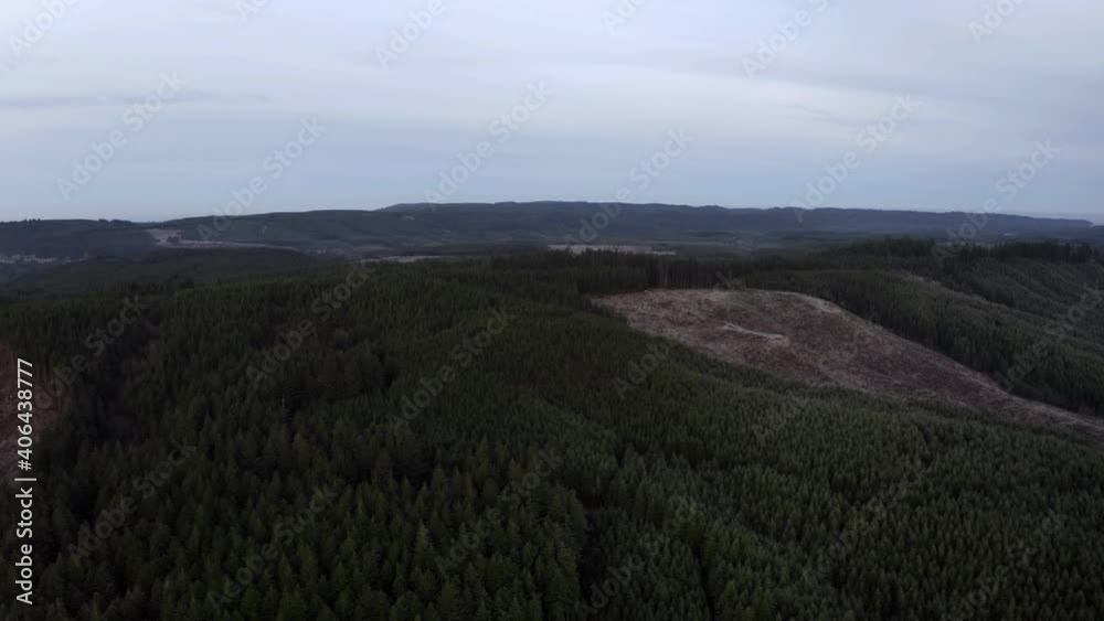 Clear cuts due to deforestation in Oregon - aerial Clear cuts due to deforestation in Oregon - aerial