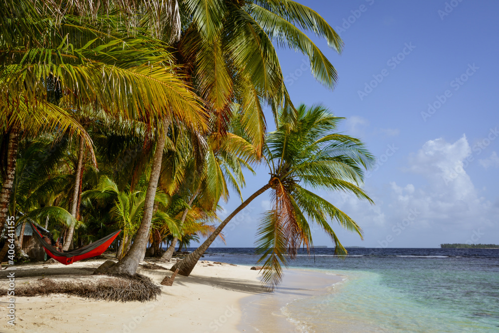 Palm trees and pristine beaches on the San Blas Islands in Panama Palm trees and pristine beaches on the San Blas Islands in Panama