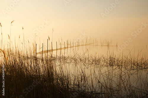 Panoramic view on Lebsko Lake in the fog at sunrise  Slowinski National Park  Leba