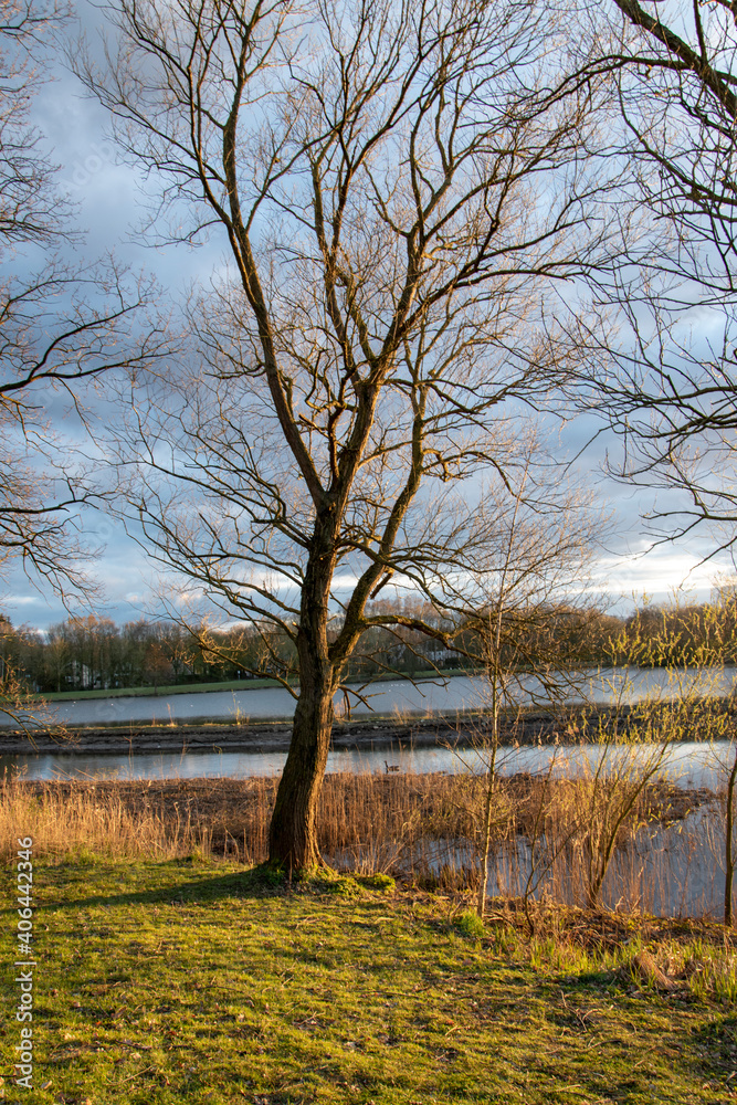 Abenddämmerung im Frühling am Obersee in Bielefeld, Ostwestfalen. Abenddämmerung im Frühling am Obersee in Bielefeld, Ostwestfalen.
