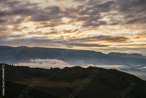 Scenic dawn mountain landscape with low clouds among mountains silhouettes under orange sunset or sunrise sky. Vivid scenery with low clouds and trees on hill in illuminating color. Golden sundown.