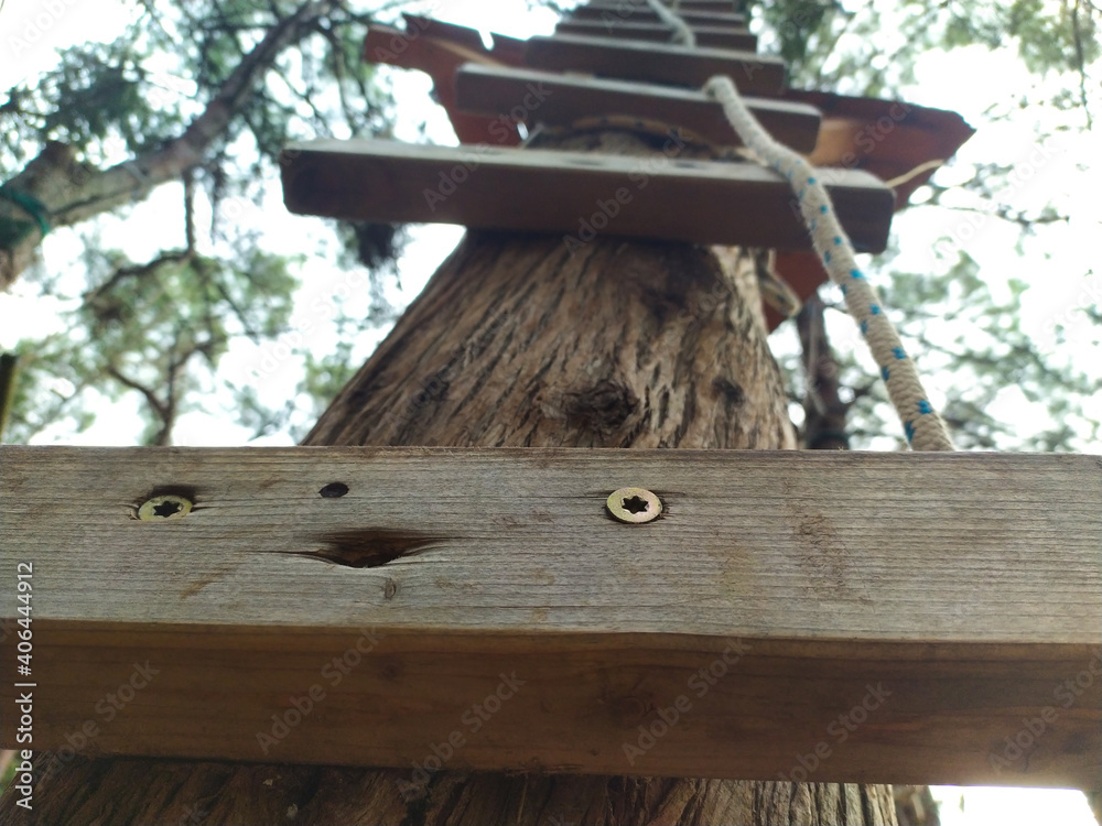 Wooden step ladder on the tree with a rope in the forest. Verudela ...
