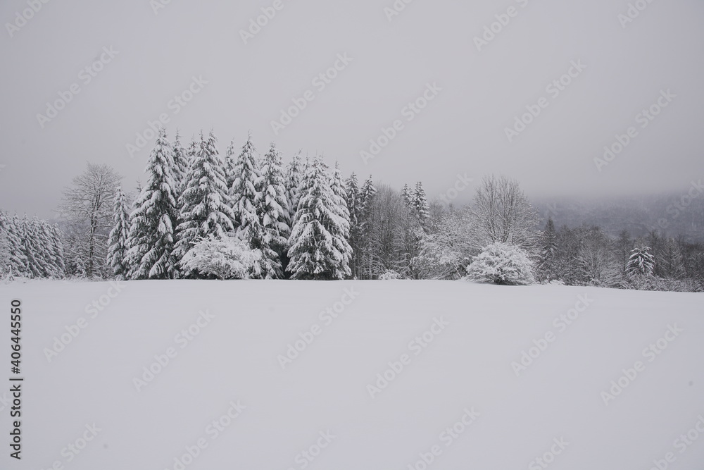 Fototapeta premium Snow covered landscape in winter