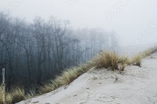 Moving dunes in the fog, cloudy evening, Slowinski National Park, Leba