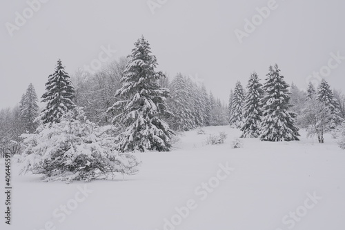 Snow covered landscape in winter