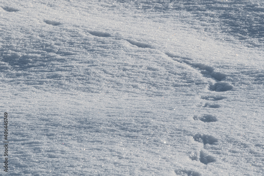 A chain of footprints in deep snow A chain of footprints in deep snow