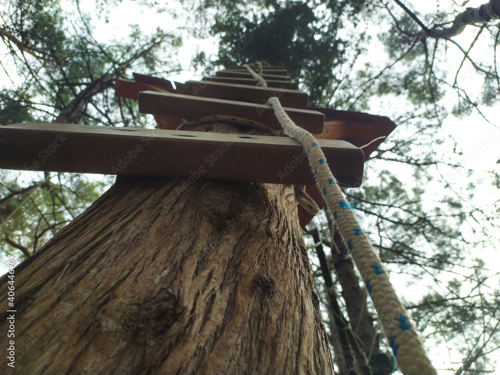 Wooden step ladder on the tree with a rope in the forest. Verudela