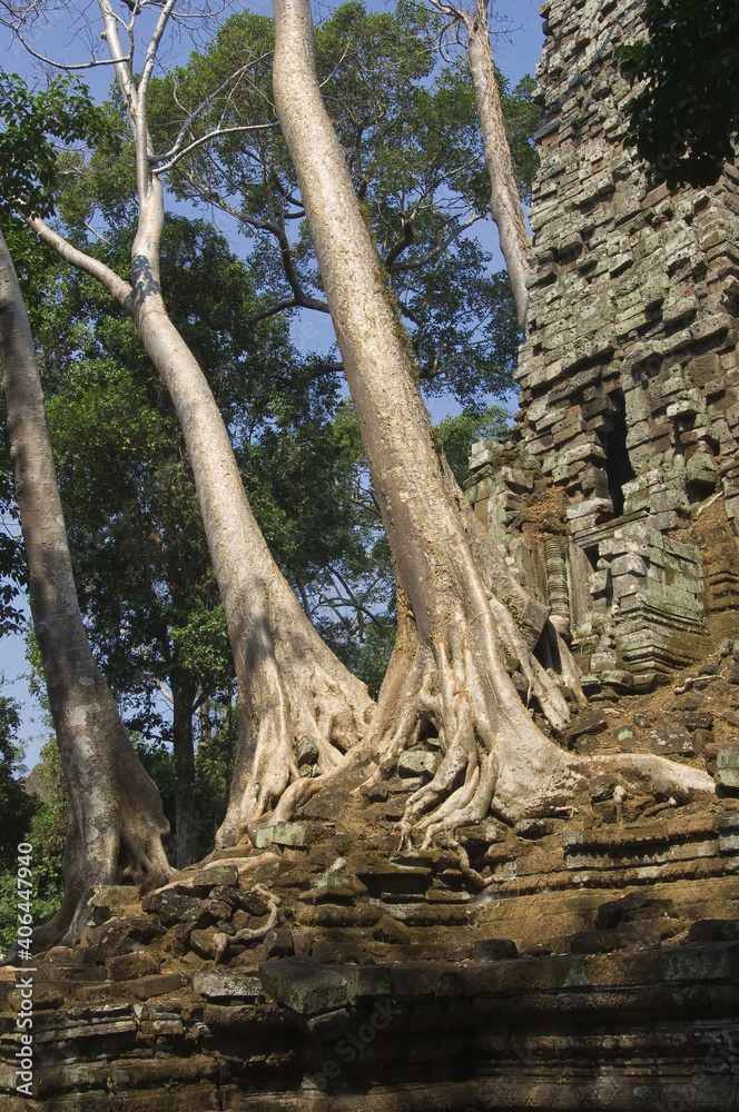 Ruins of the Preah Palilay temple invaded by the roots and trees, Angkor Thom, Siem Reap, Cambodia, UNESCO World Heritage Site Ruins of the Preah Palilay temple invaded by the roots and trees, Angkor Thom, Siem Reap, Cambodia, UNESCO World Heritage Site