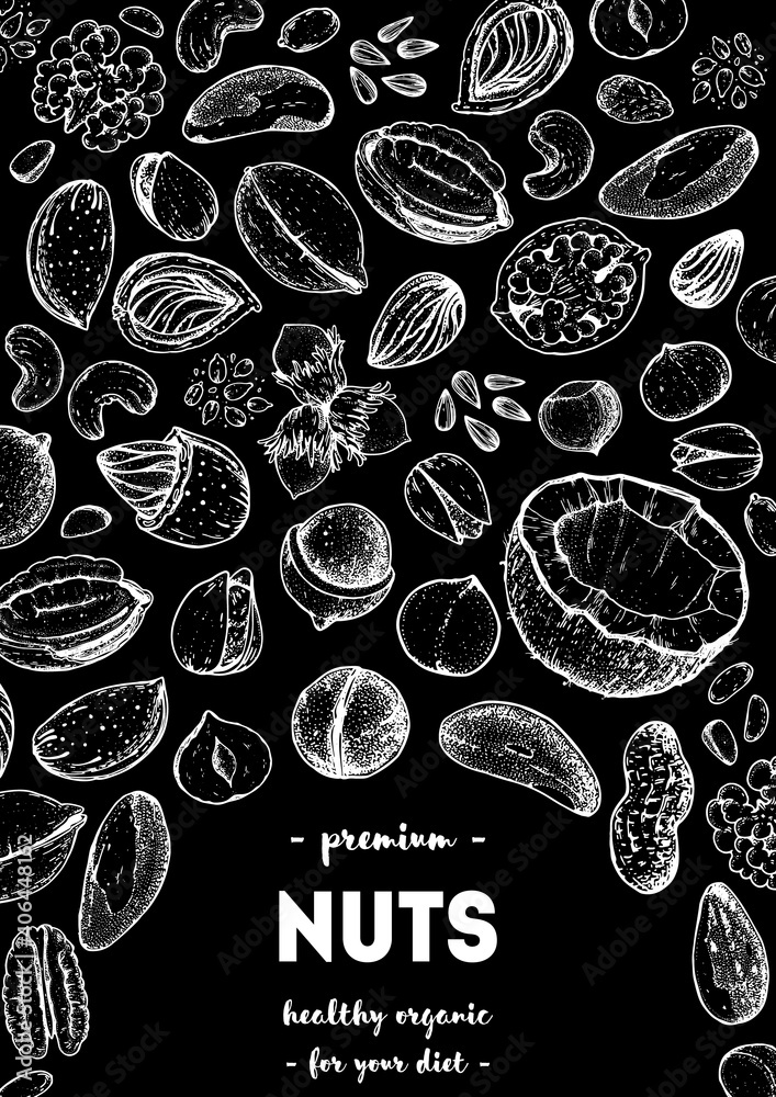 Fototapeta premium Nuts collection hand drawn sketch. Vector illustration. Organic healthy food. Great for packaging design. Engraved style. Black and white color