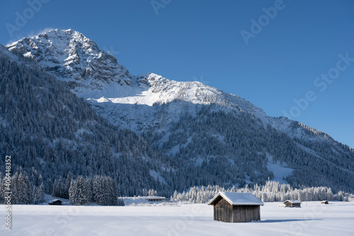 snow-covered hut on a sunny winter day in tyrol in front of wooded mountain with avalanche barriers