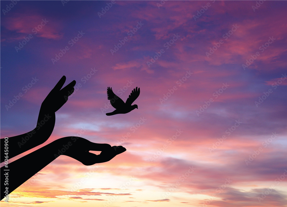 Bird Flying Out of Cage,Freedom Concept,freeing Bird from cage,bird In