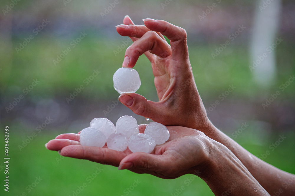Large hailstones on women's palms in spring Large hailstones on women's palms in spring