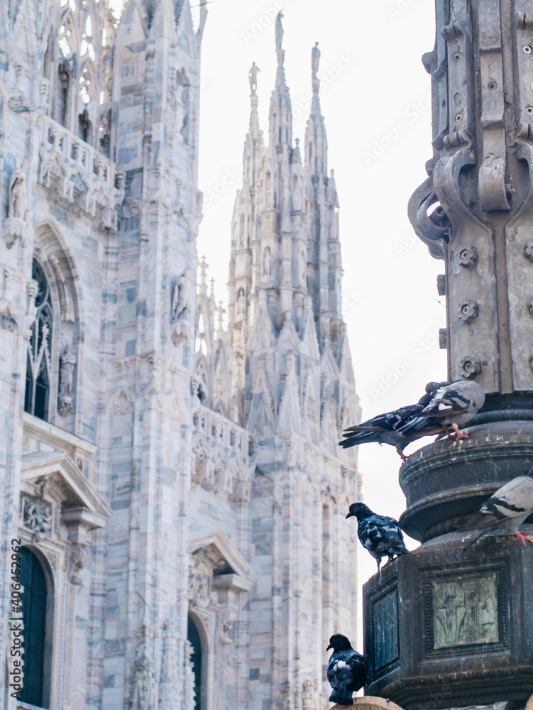 Naklejka premium Pigeons on the background of Milan Cathedral, sitting on a pillar