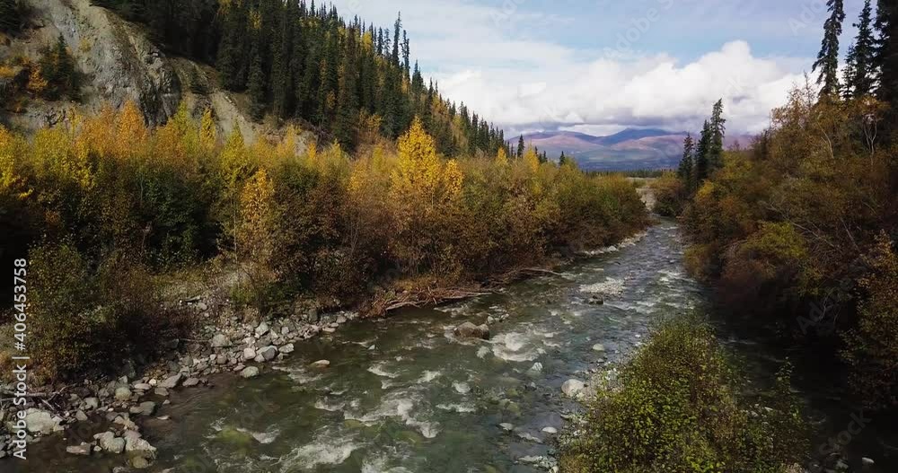 Burwash Creek river flowing in Canadian forest, drone shot Burwash Creek river flowing in Canadian forest, drone shot